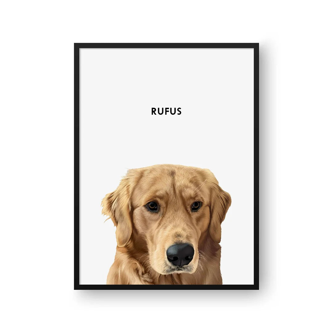 Test Pets Portrait
