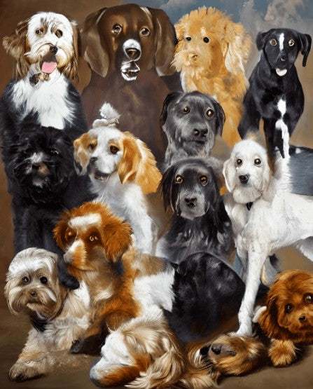 Test Pets Portrait